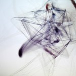 3637715013_e2518a3e37_o